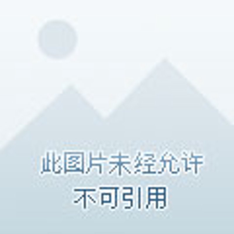 电力工程公司：照亮未来之路